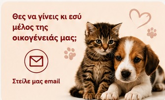 Μέλος οικογένειας